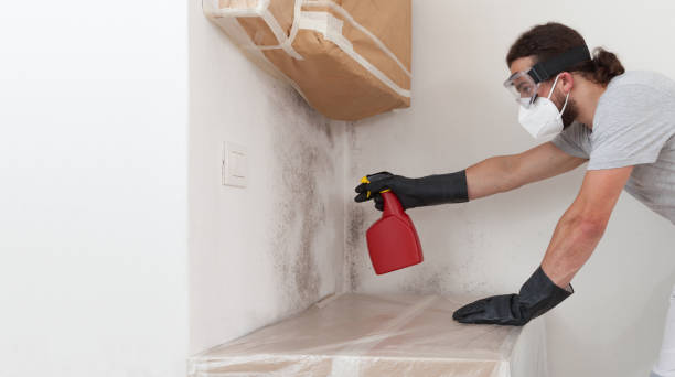 Professional Mold Removal technician working in Hudson, NY